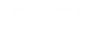 Lopay logo